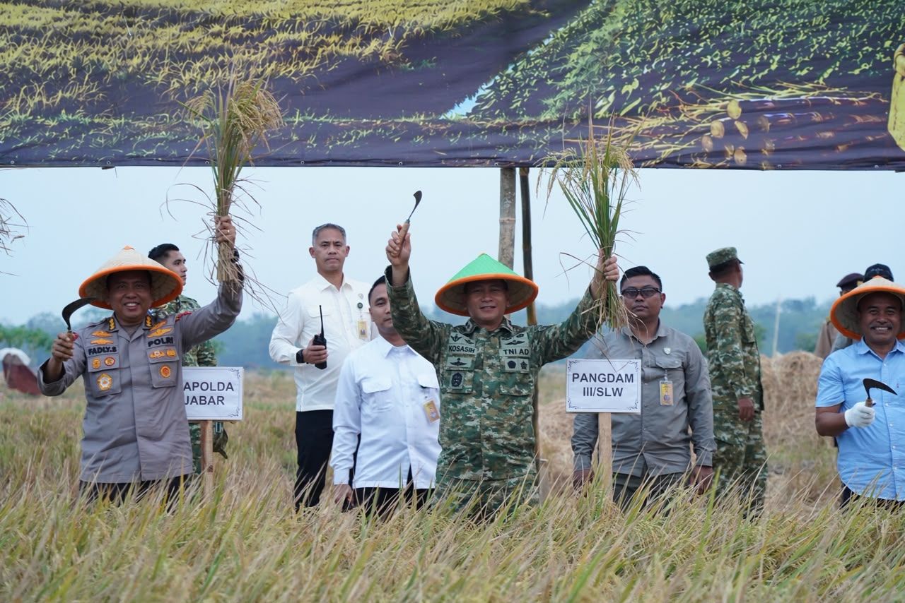 Panen Raya TNI Di Sumedang Perkuat Sinergi Wujudkan Ketahanan Pangan Nasional
