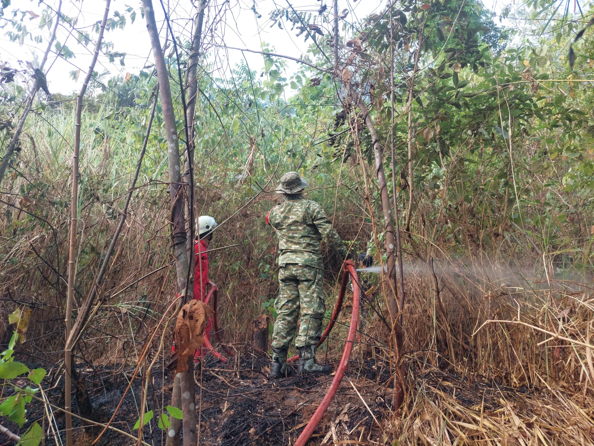 Kebakaran Lahan 1,5 Hektare di Kota Banjar Berhasil Dipadamkan, Tidak Ada Korban Jiwa